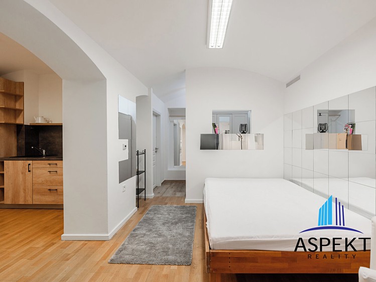 Wohnung 1+kk zur Miete, 32 m² (9 von 19)