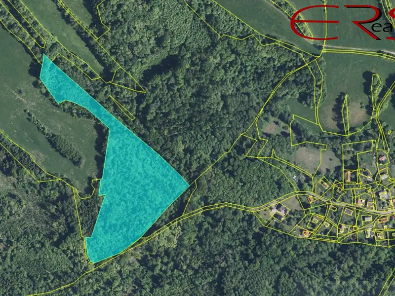 Prodej lesa 37279 m², Merboltice – náhled fotky 3