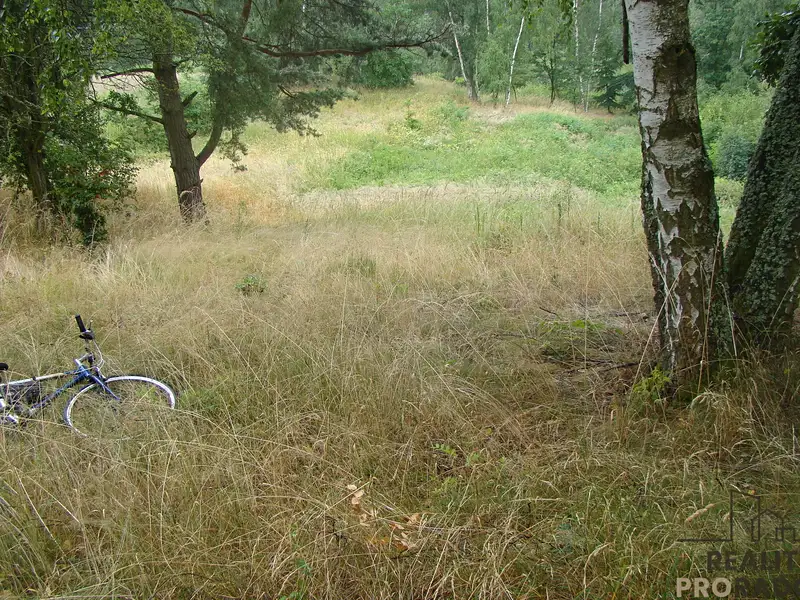 Prodej zahrady 2700 m², Krušovice – náhled fotky 1