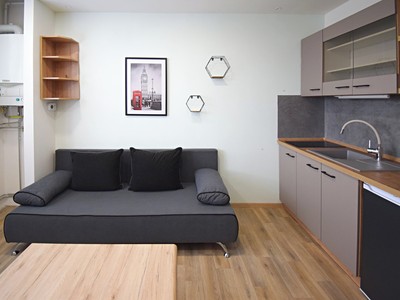 Pronájem bytu 1+kk 20 m²