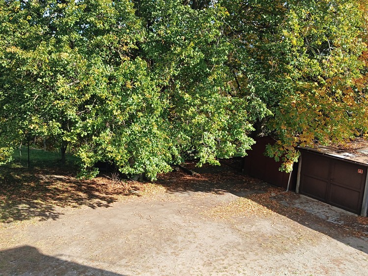 Ostatní
