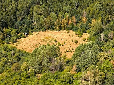 Grundstück zum Kauf, 8.000 m² (2 von 27)