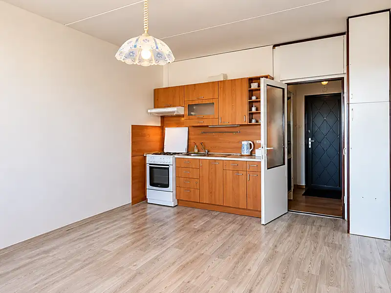 Prodej bytu 2+kk 40 m², Plzeň – náhled fotky 1