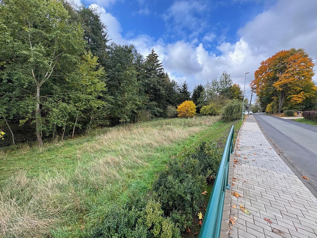 Prodej stavebního pozemku 2236 m² – fotografie 4