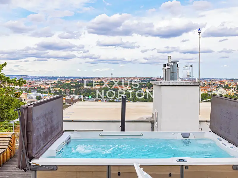 Pronájem bytu 5+kk 202 m², Praha – náhled fotky 3