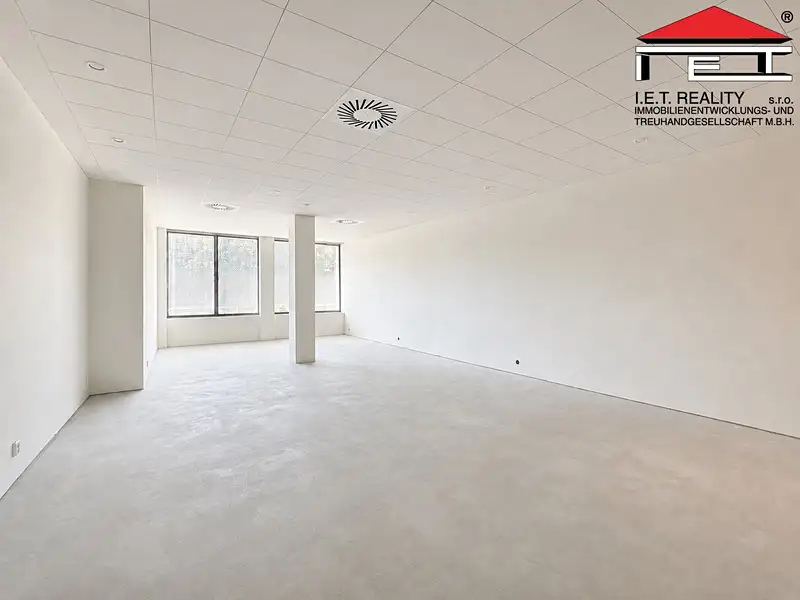 Pronájem kanceláře 65 m², Brno – náhled fotky 3