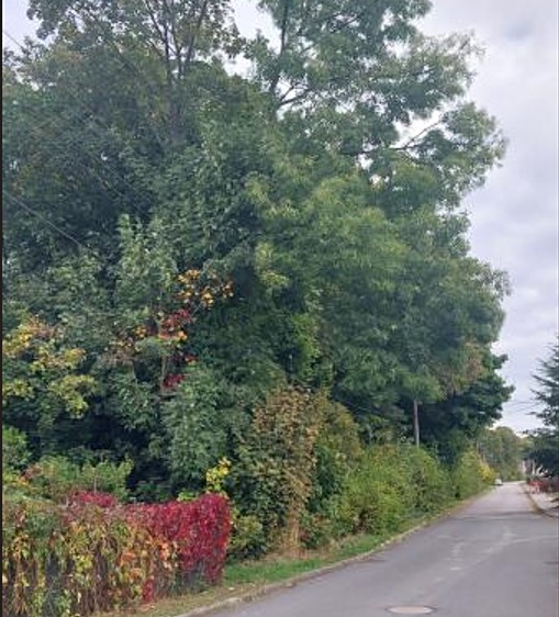 Grundstück zum Kauf, 2.004 m² (2 von 11)