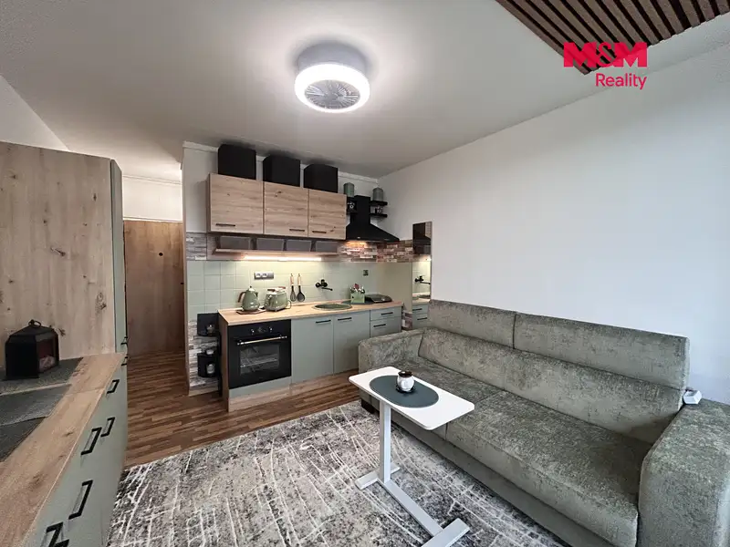 Pronájem bytu 1+kk 21 m², Ústí nad Labem – náhled fotky 3