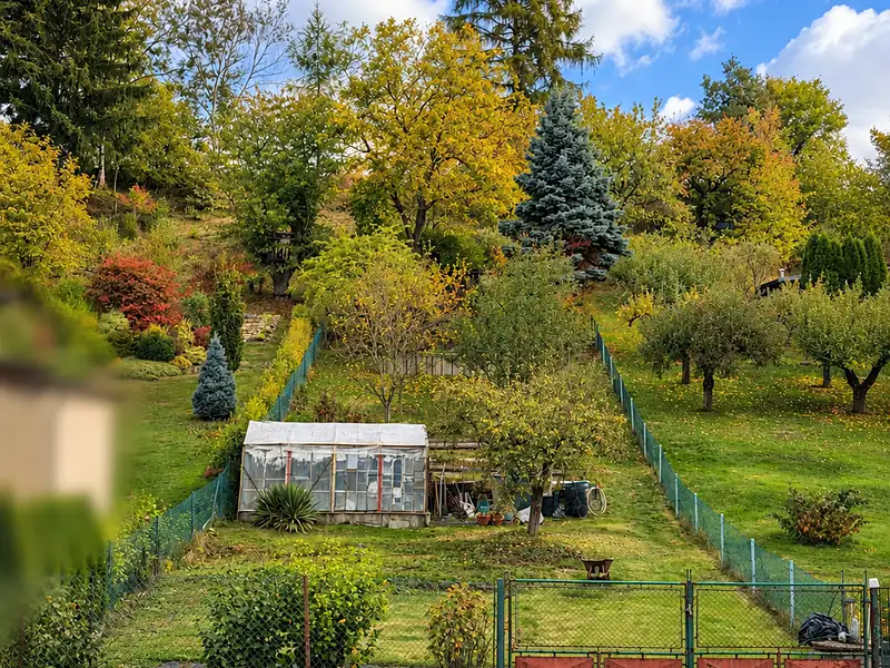 Prodej zahrady 765 m², Doudleby nad Orlicí – náhled fotky 3