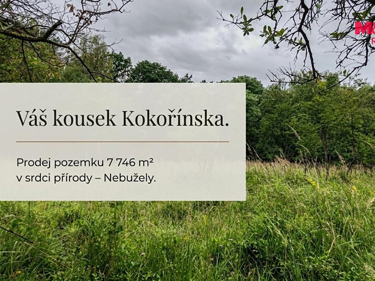 Ділянка на продаж, 7 746 м² (2 з 8)