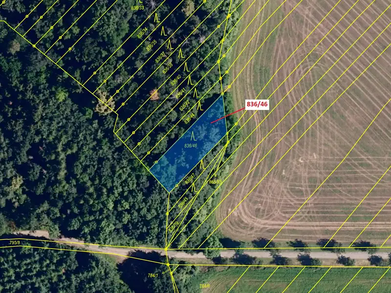 Dražba lesa 594 m², Ketkovice – náhled fotky 2