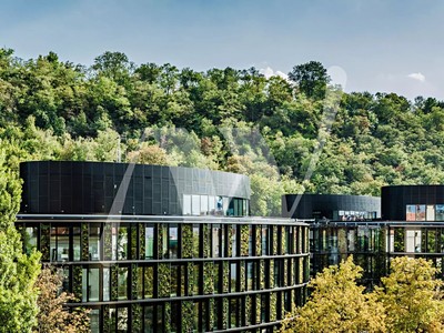 Gewerbefläche zur Miete, 374 m² (2 von 3)