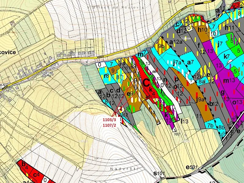 Dražba lesa 3392 m², Ludkovice – náhled fotky 3