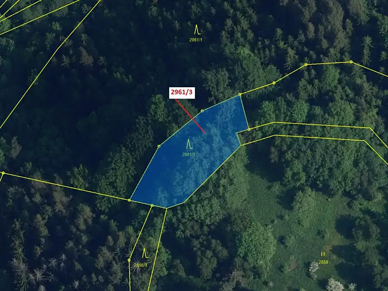 Dražba lesa 1217 m², Český Dub – náhled fotky 2