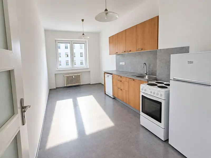 Pronájem bytu 1+1 45 m², Praha – náhled fotky 1