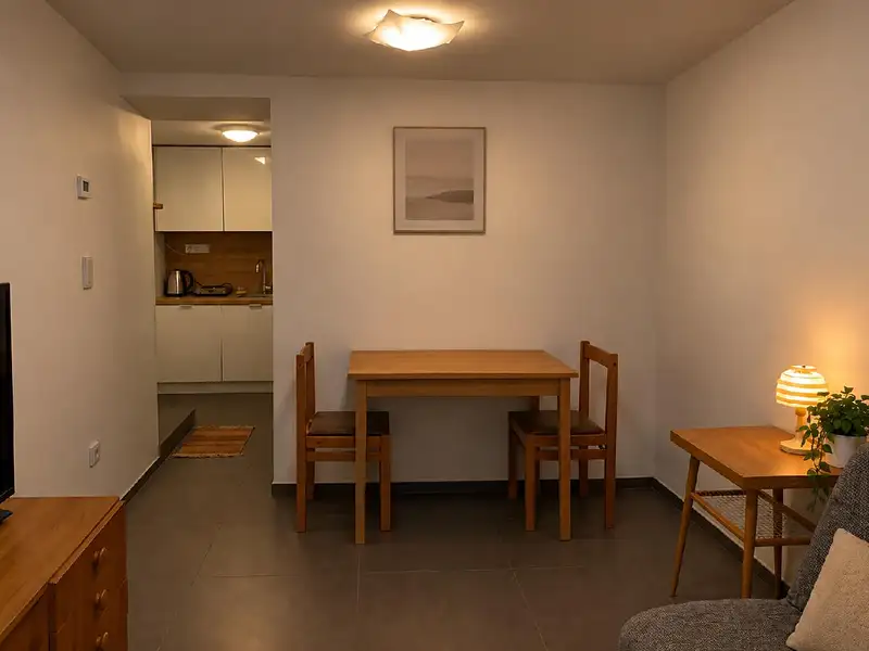 Prodej bytu 1+kk 20 m², Brno – náhled fotky 2
