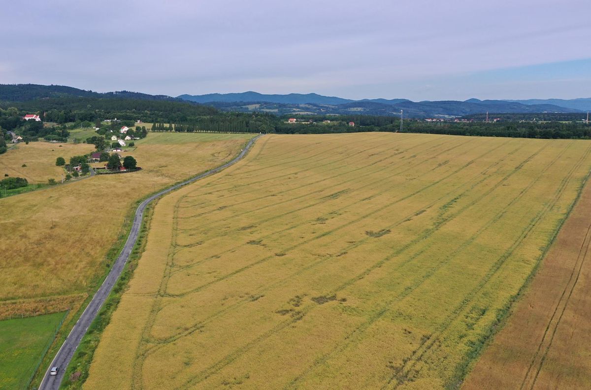 Prodej pole 62420 m², Bílá Voda – fotka 1 z 3
