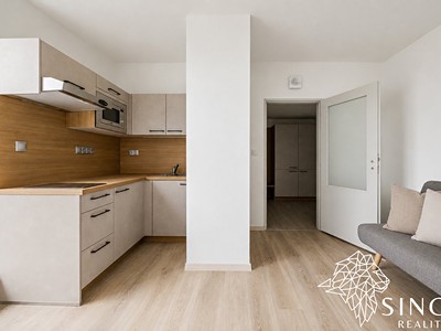 Квартира 1+kk в оренду, 28 м² (3 з 17)