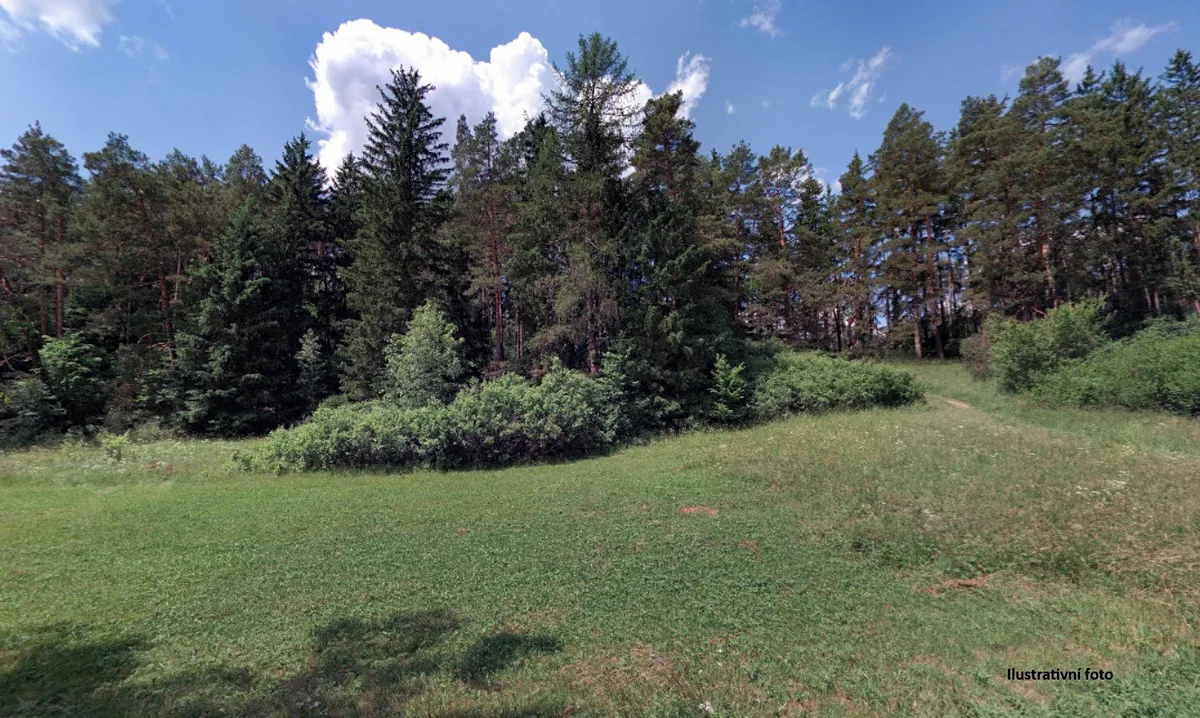 Prodej sadu, vinice 4238 m²