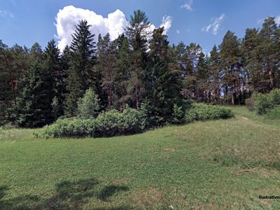 Prodej sadu, vinice 4238 m²