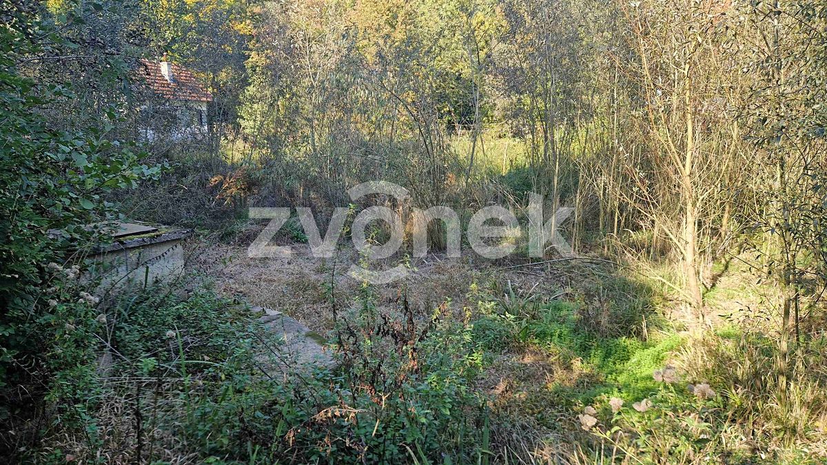 Prodej rybníku (vodní plochy) 2136 m² – fotografie 4