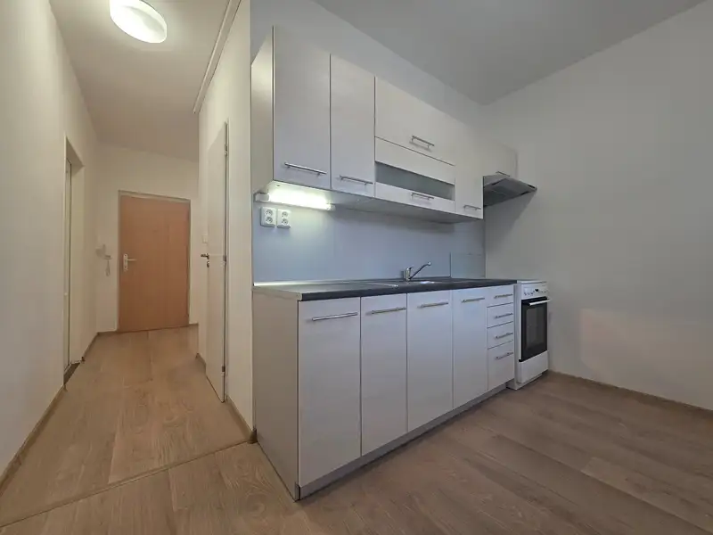 Pronájem bytu 2+1 53 m², Olomoucká, Opava