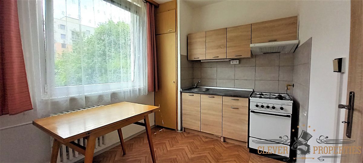 Pronájem bytu 1+1 43 m² – fotografie 4