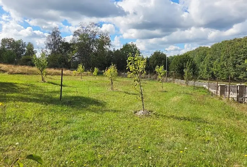 Prodej stavebního pozemku 1961 m², Hošťka – náhled fotky 3