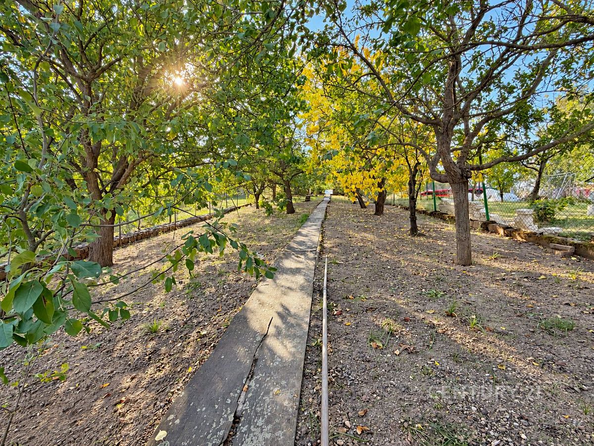 Prodej rodinného domu 150 m², pozemek 645 m² – fotografie 4