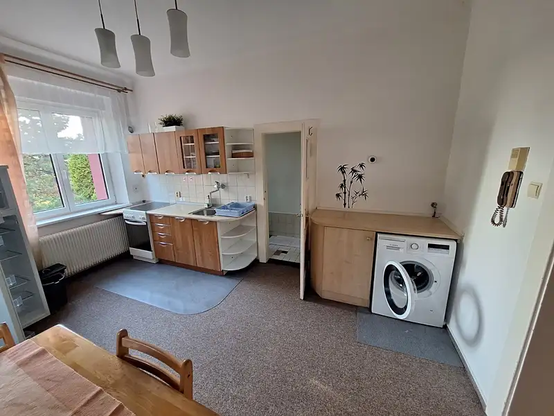 Pronájem bytu 1+1 44 m², Praha – náhled fotky 3