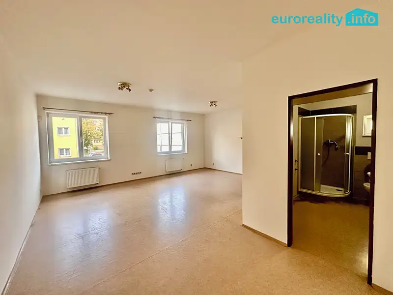 Pronájem bytu 1+kk 40 m², Karlovy Vary – náhled fotky 2