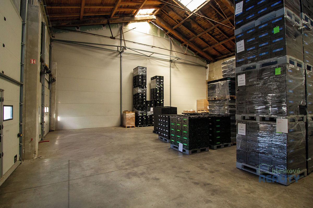 Pronájem výrobní haly, prostoru 440 m²