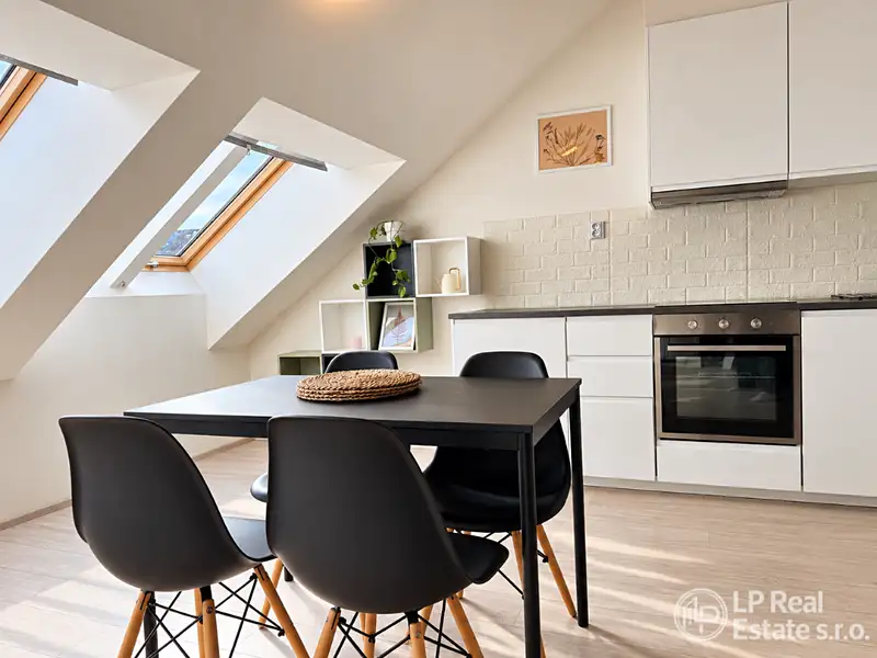 Pronájem bytu 1+kk 44 m², Praha – náhled fotky 3