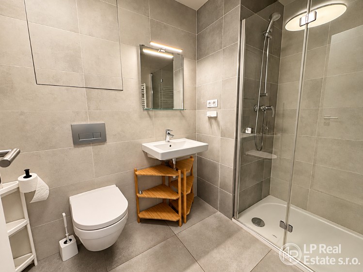 Pronájem bytu 1+kk, 44 m² (11 z 19)