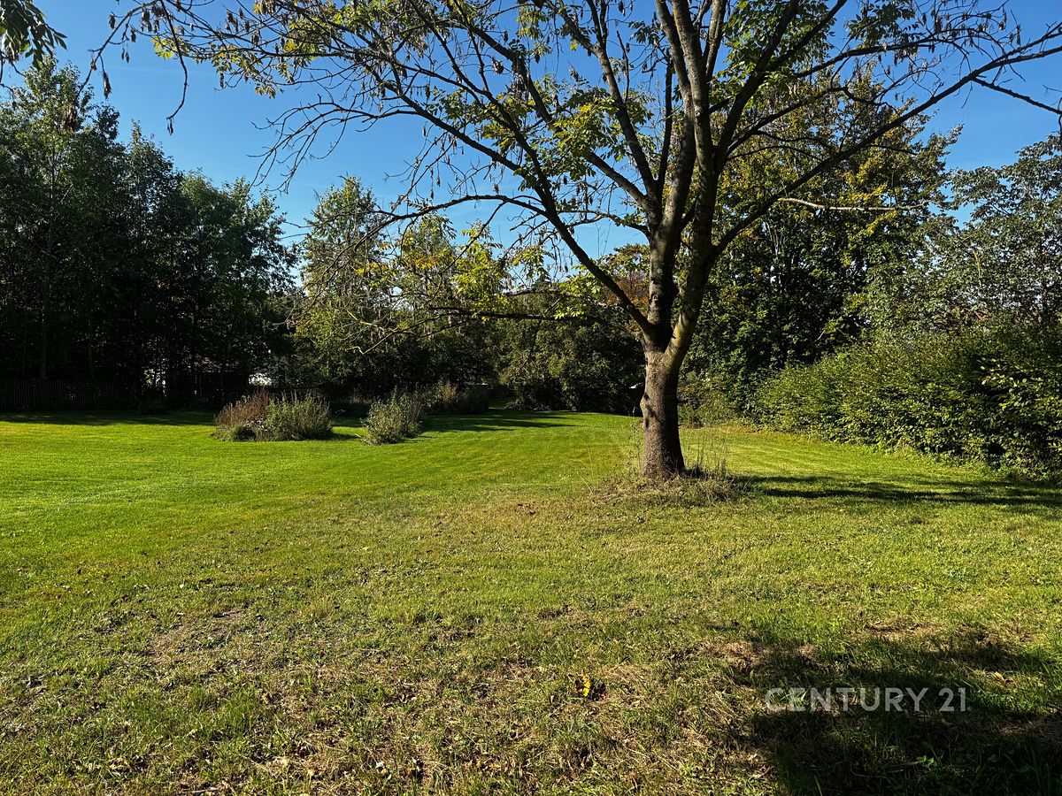 Prodej stavebního pozemku 3702 m², Rynoltice – fotka 1 z 3