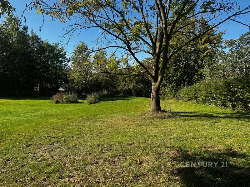 Prodej stavebního pozemku 3702 m², Rynoltice – náhled fotky 1