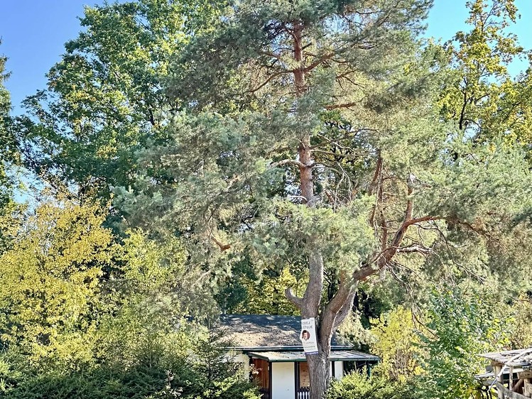 Будинок на продаж, 51 м² (13 з 25)
