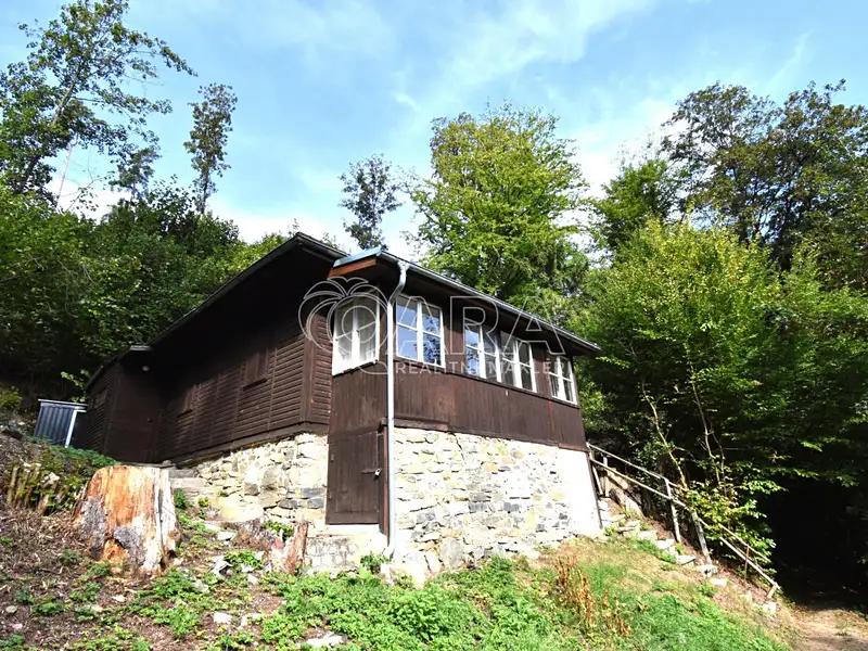 Prodej chaty 61 m², pozemek 68 m², Sázava – náhled fotky 1