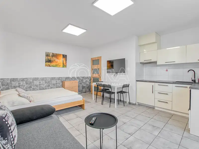 Pronájem bytu 1+kk 32 m², Trojanovice – náhled fotky 2