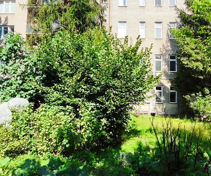 Ostatní