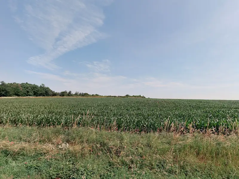 Prodej louky 12517 m², Ivančice – náhled fotky 1