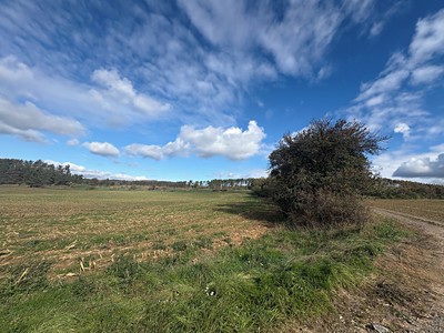 Grundstück zum Kauf, 85.916 m² (2 von 18)