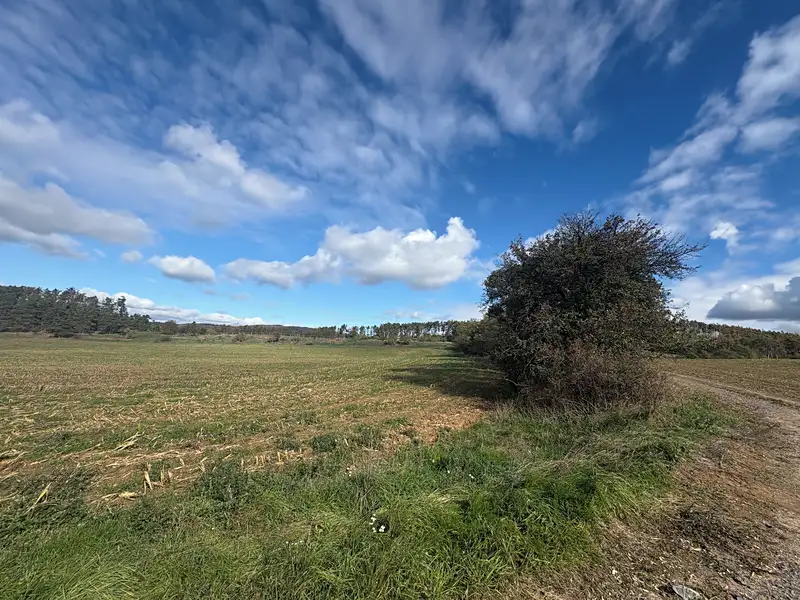 Prodej pole 85916 m², Županovice – náhled fotky 2