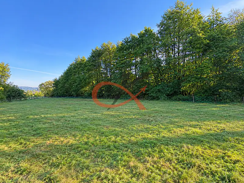 Prodej zahrady 4190 m², Střítež nad Bečvou – náhled fotky 3