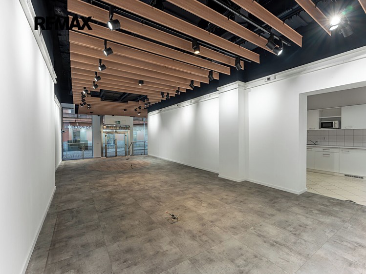 Pronájem komerčního prostoru, 182 m² (8 z 21)