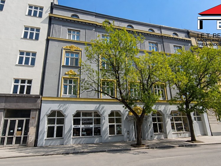 Wohnung 3+1 zur Miete, 134 m² (1 von 18)