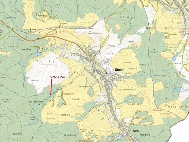 Dražba lesa 16804 m², Strání – náhled fotky 1