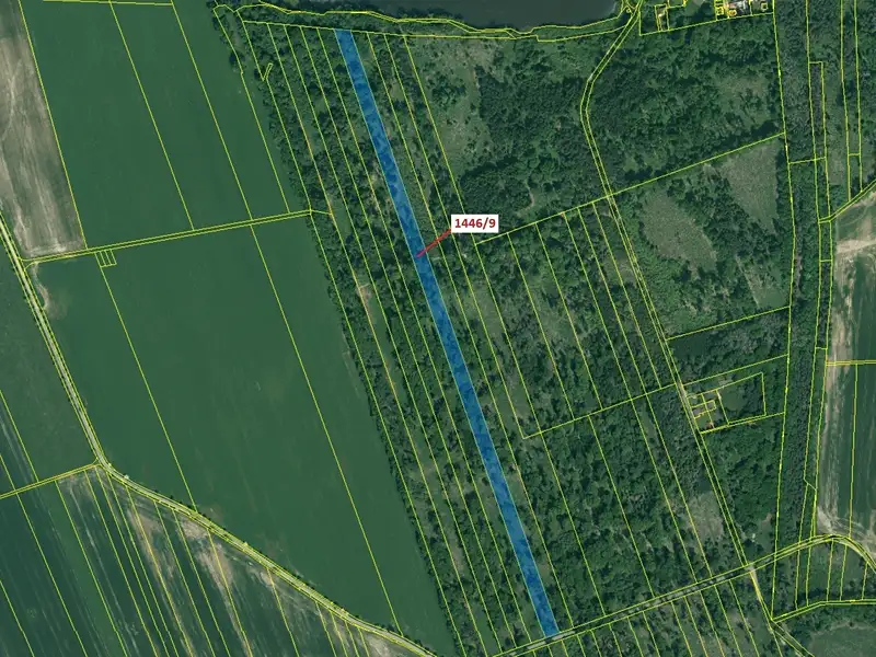 Dražba lesa 19879 m², Břehov – náhled fotky 2