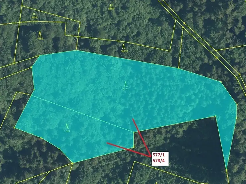 Dražba lesa 10642 m², Leskovec – náhled fotky 2