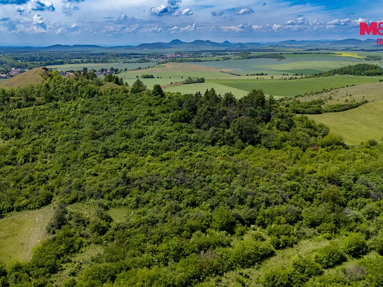 Ділянка на продаж, 8 199 м² (8 з 14)